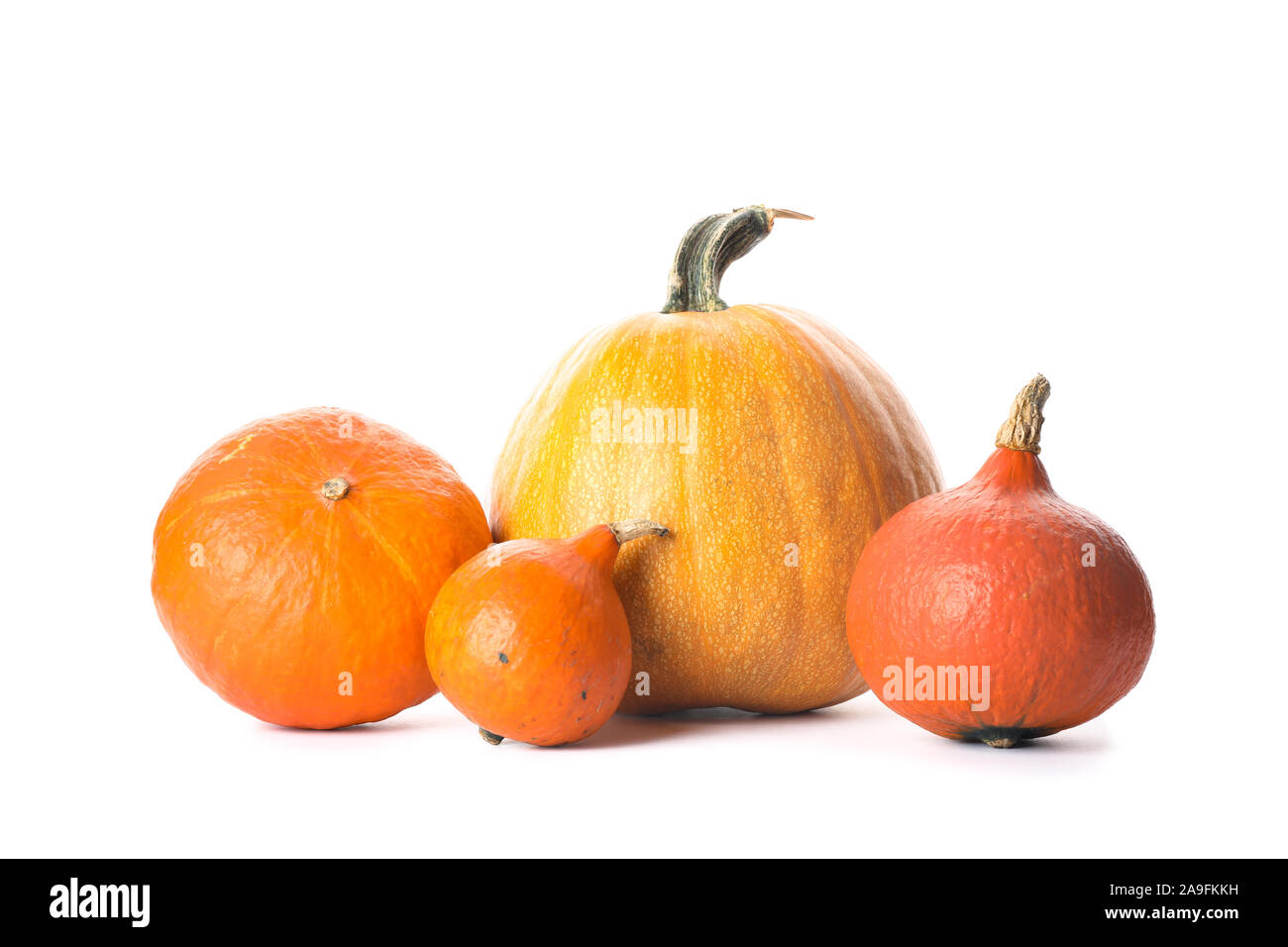 Group of fresh pumpkins isolated on white background Stock Photo - Alamy