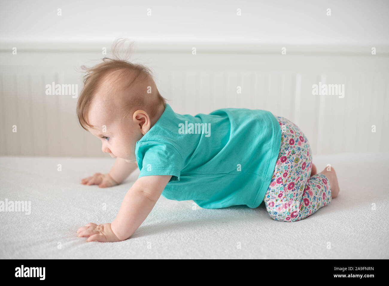 Adorable Caucasian baby girl with blue eyes trying to stand up and walk, focused on the effort and progress baby facial expressions and family concept Stock Photo