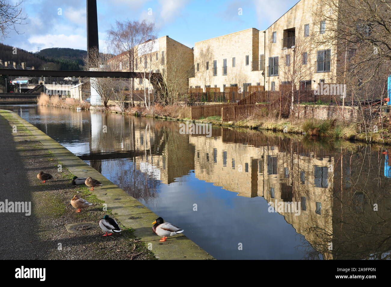 New housing, Leeds Liverpool canal at Bingley, Yorkshire Stock Photo