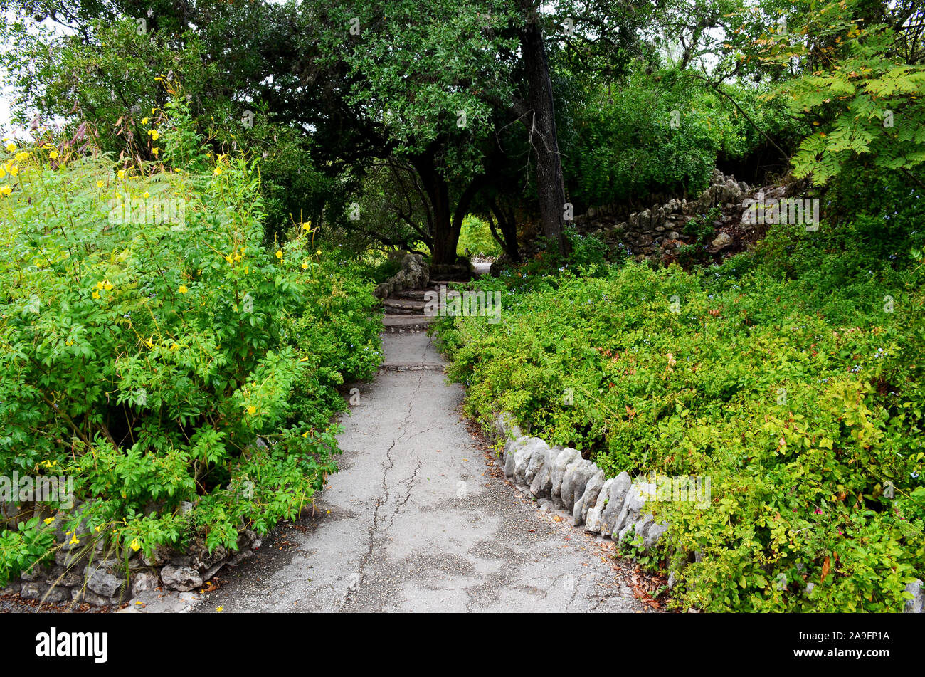 Japanese Tea Garden In San Antonio Texas Picturesque Landscaped