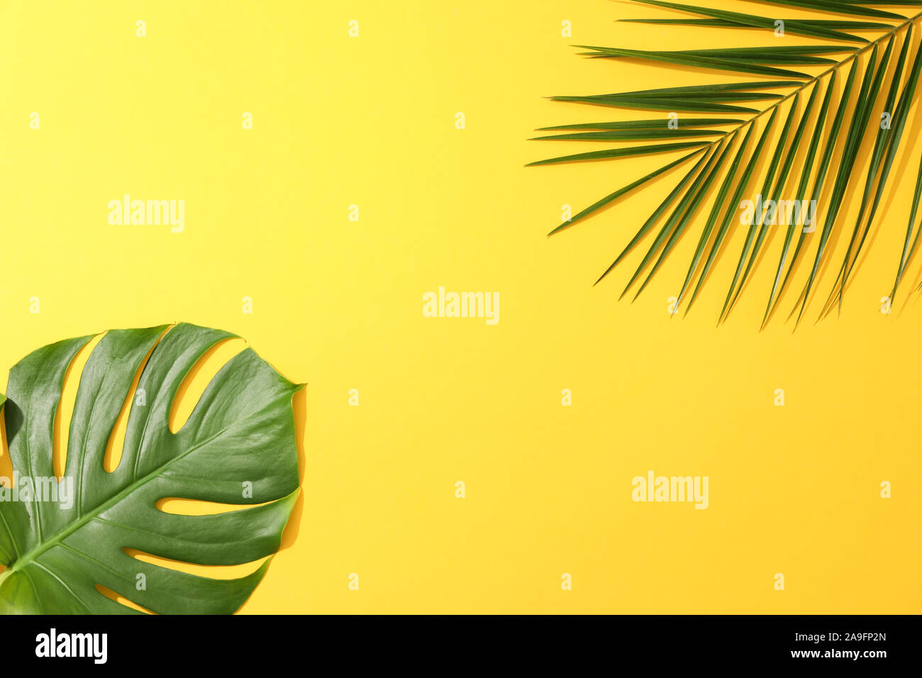 Different palm leaves on yellow background, copy space Stock Photo - Alamy