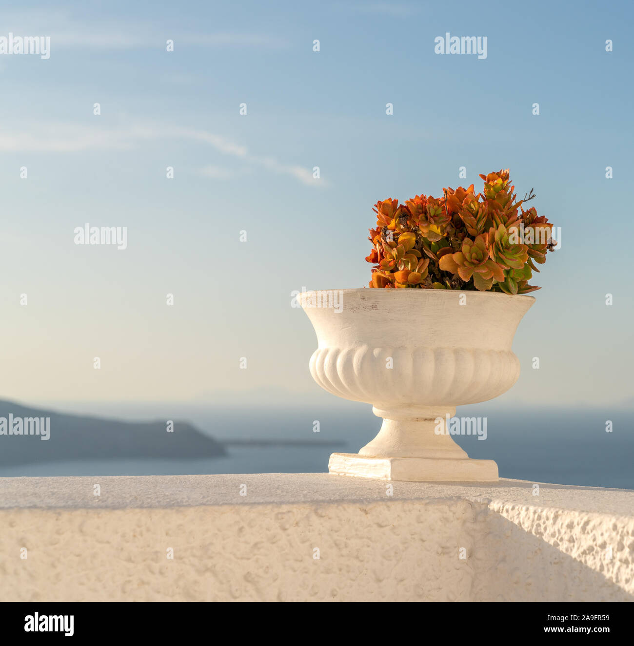 A colourful succulent plant in the pedestal column flower plant stand pot in Santorini, Greece. Stock Photo