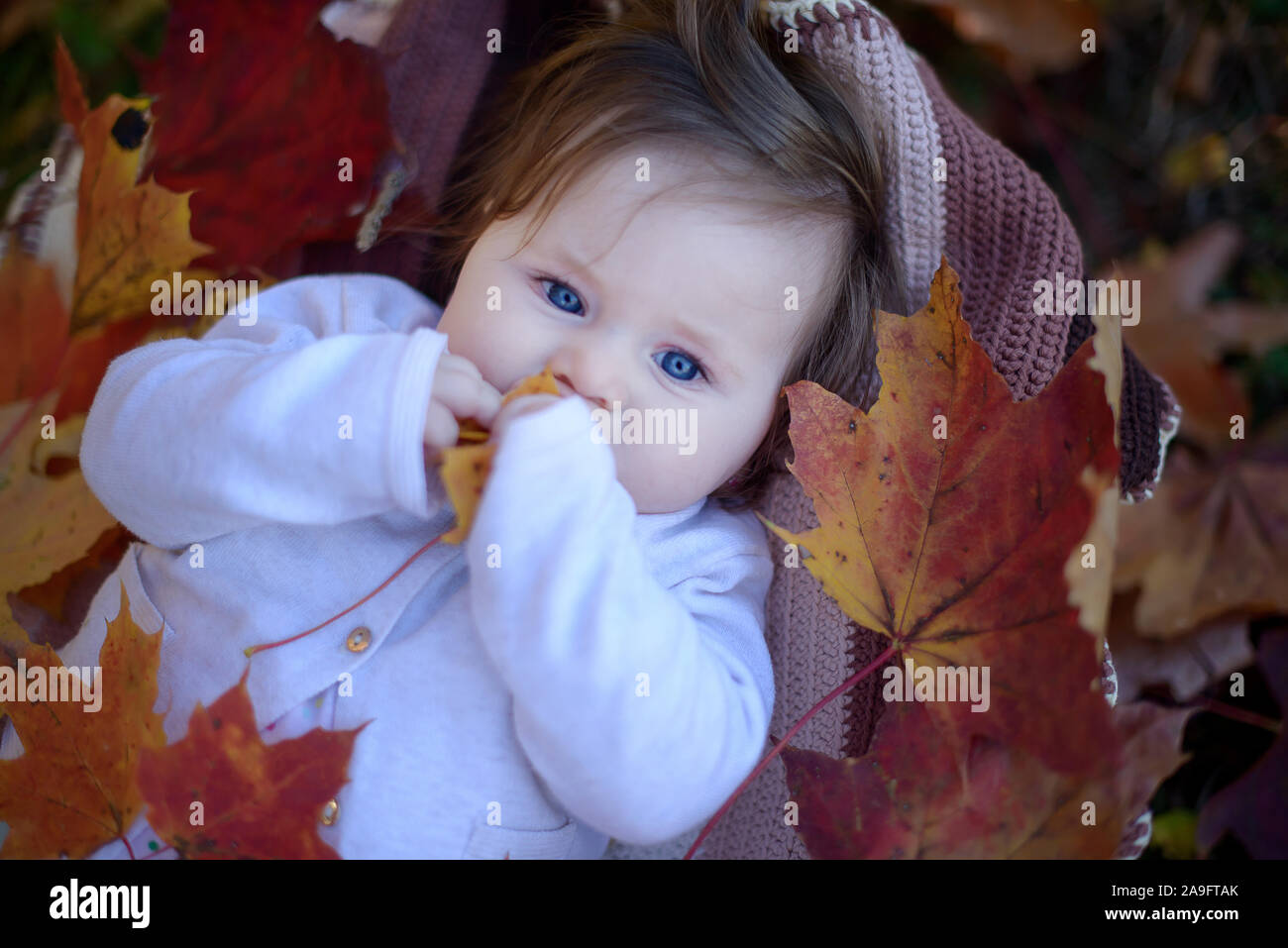 Caucasian baby girl with blue eyes and long brown hair smiling and laying on the back on a soft cotton blanket in an autumnal background Stock Photo