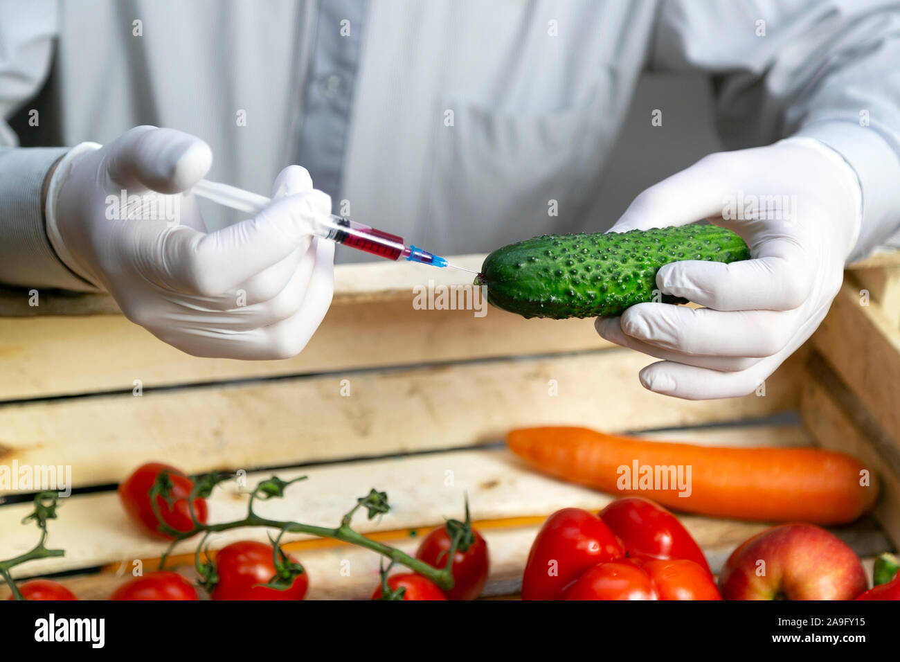 A man injects chemicals into a cucumber fertilizers and chemicals with a syringe to increase the shelf life of vegetables Stock Photo
