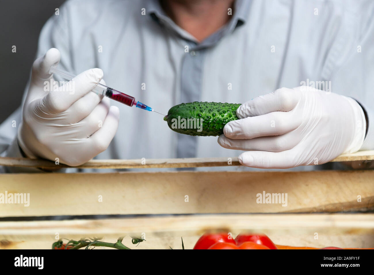 A man injects chemicals into a cucumber, fertilizers and chemicals with a syringe to increase the shelf life of vegetables. Stock Photo