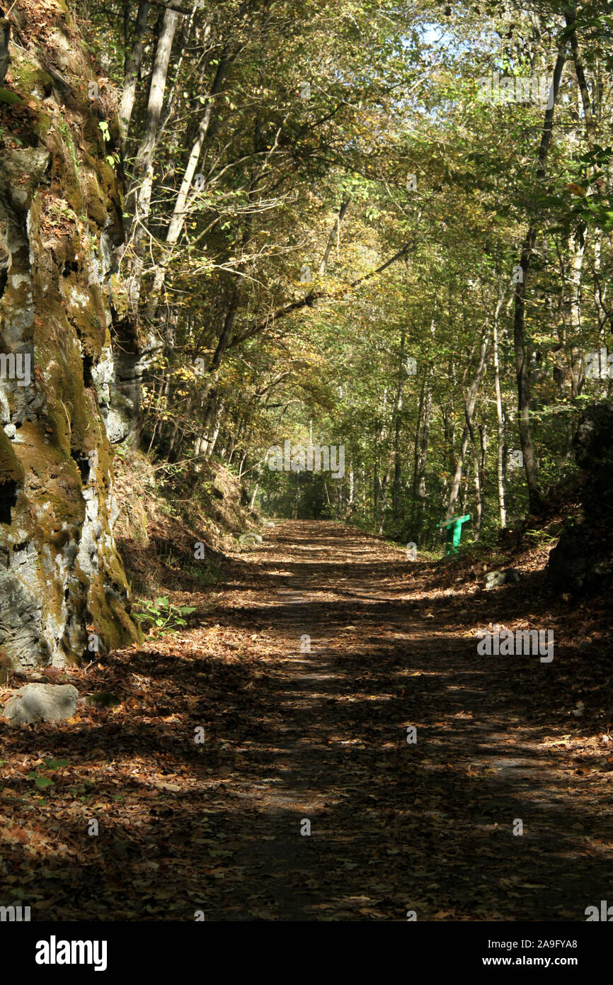 The Virginia Creeper Trail near Alvarado, VA, USA Stock Photo Alamy