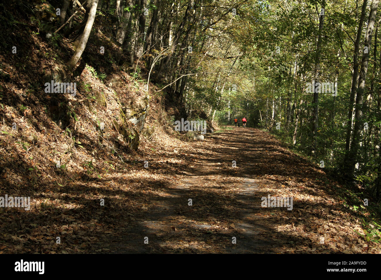 The Virginia Creeper Trail near Alvarado, VA, USA Stock Photo Alamy