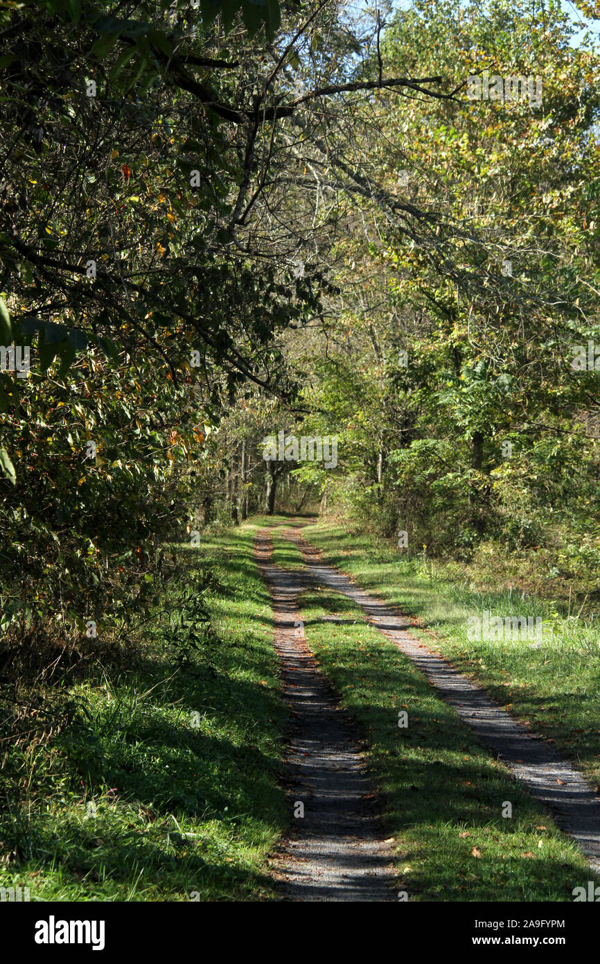 The Virginia Creeper Trail near Alvarado, VA, USA Stock Photo Alamy