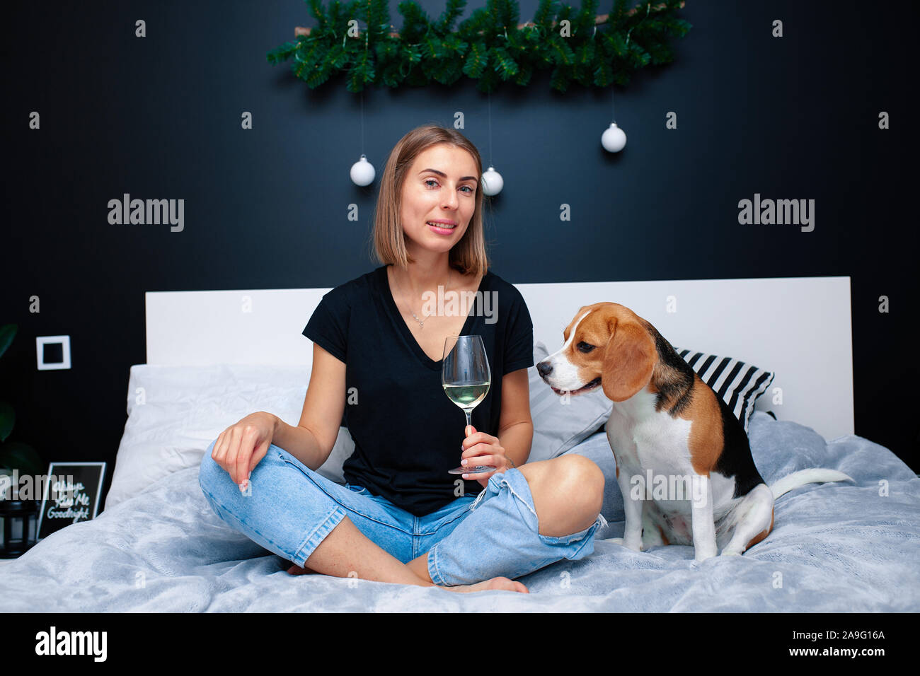 Young beautiful woman playing with dog sitting on bed in a stylish bedroom. Domestic animals at home. Beagle dog. Friendship. Comfort cosiness Stock Photo