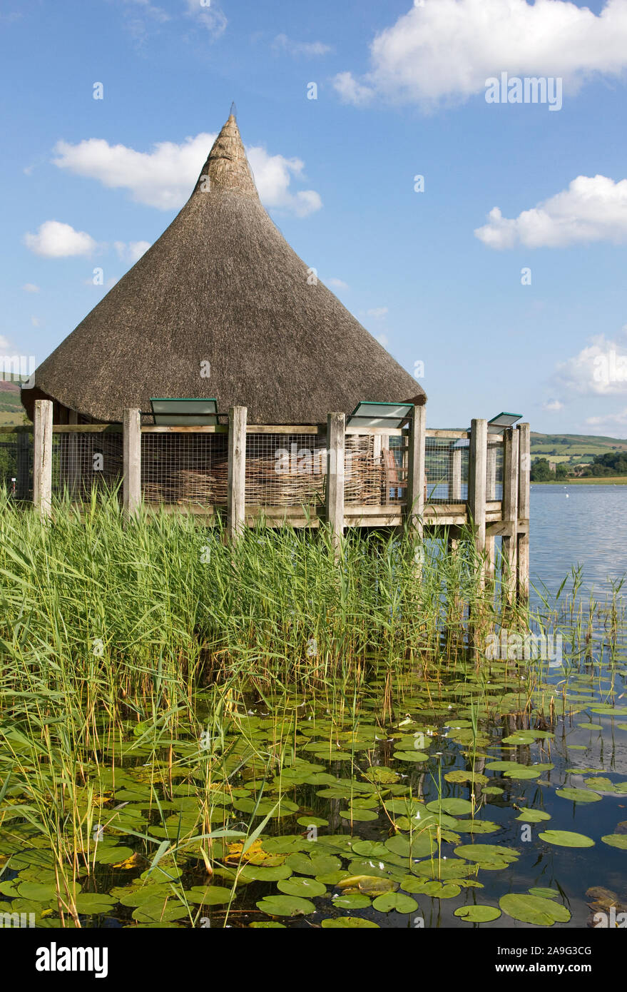 Reconstructed (Iron Age) Crannog roundhouse, Llangorse Lake, Brecon Beacons, Brecon, Powys, Wales, UK Stock Photo