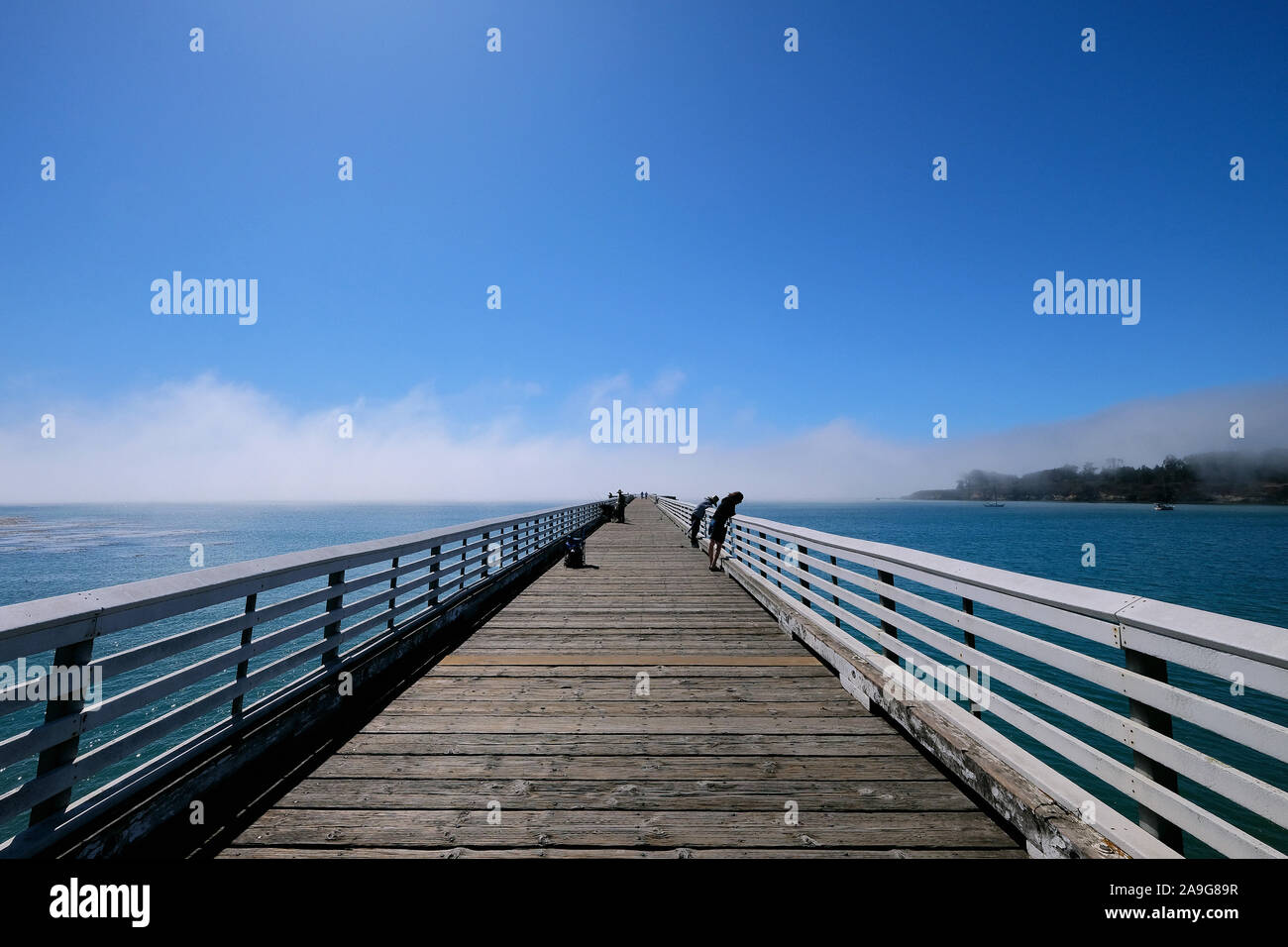 Wafts of mist and blue skies over the Pacific Ocean at San Simeon Pier on Highway 1, California, USA Stock Photo