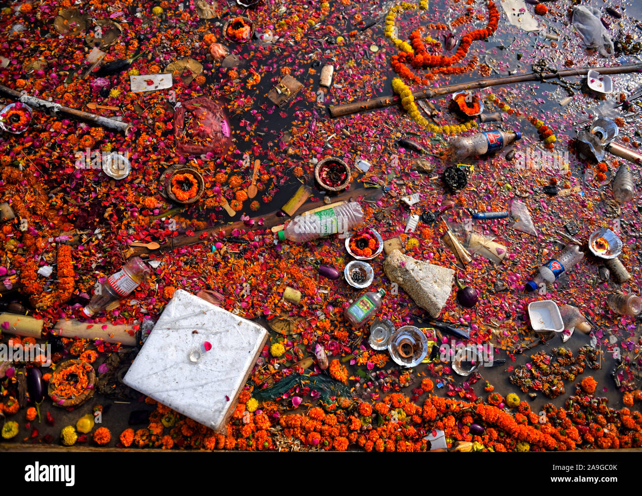 Water india pollution hi-res stock photography and images - Alamy