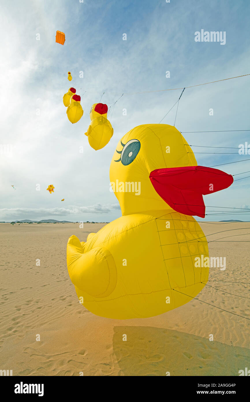 Flying duck kites on the windy beach of Playas Grandes, south of Corralejo, Fuerteventura, Spain, Europe. Stock Photo