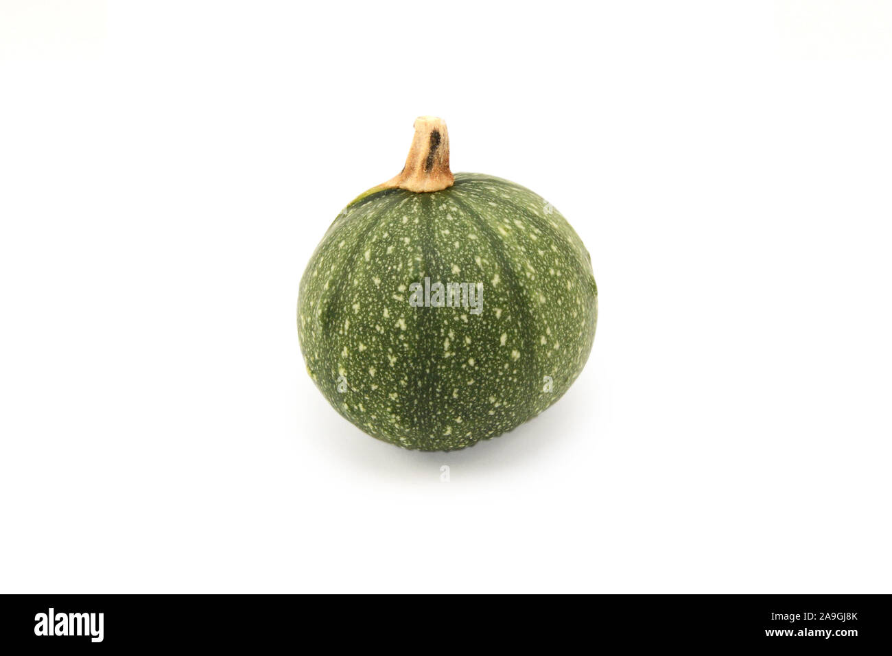 Small round ornamental gourd with green skin for decoration, on a white background Stock Photo