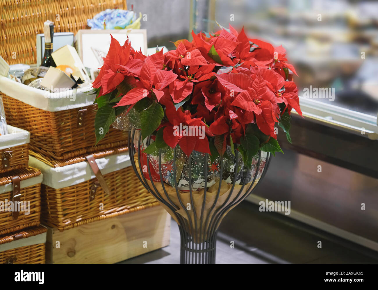 xmas flower baskets