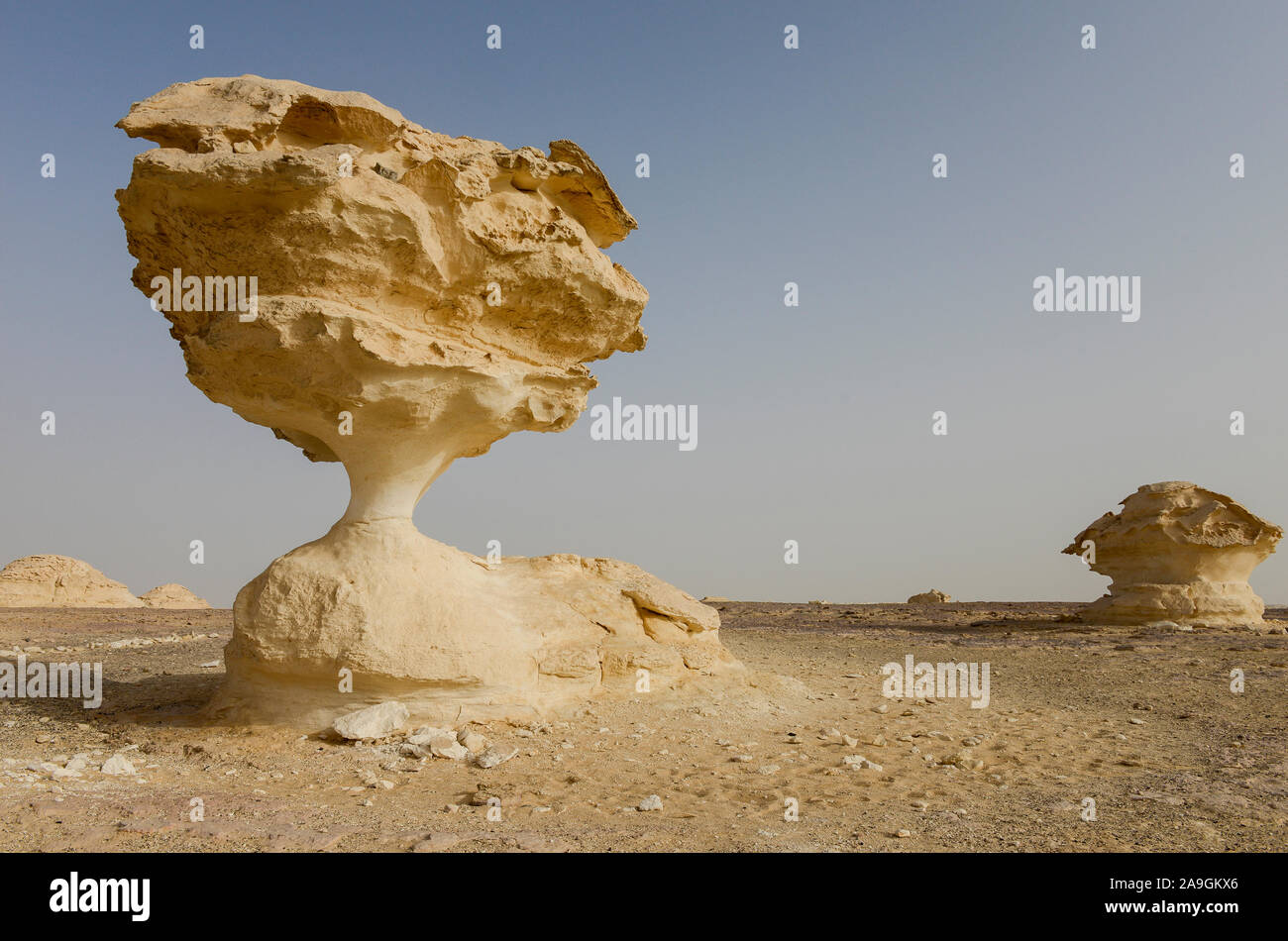 EGYPT, Farafra, Nationalpark White Desert , mushroom like chalk rocks shaped by wind and sand erosion/ AEGYPTEN, Farafra, Nationalpark Weisse Wueste, durch Wind und Sand geformte Kalkfelsen Stock Photo