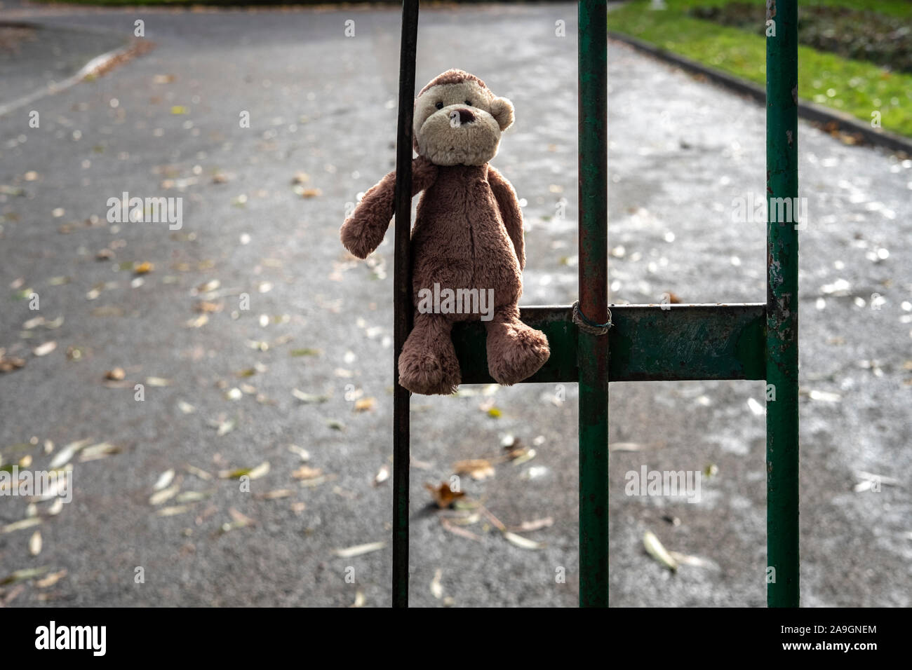 Lost monkey toy , Cheam Park, Surrey, UK Stock Photo