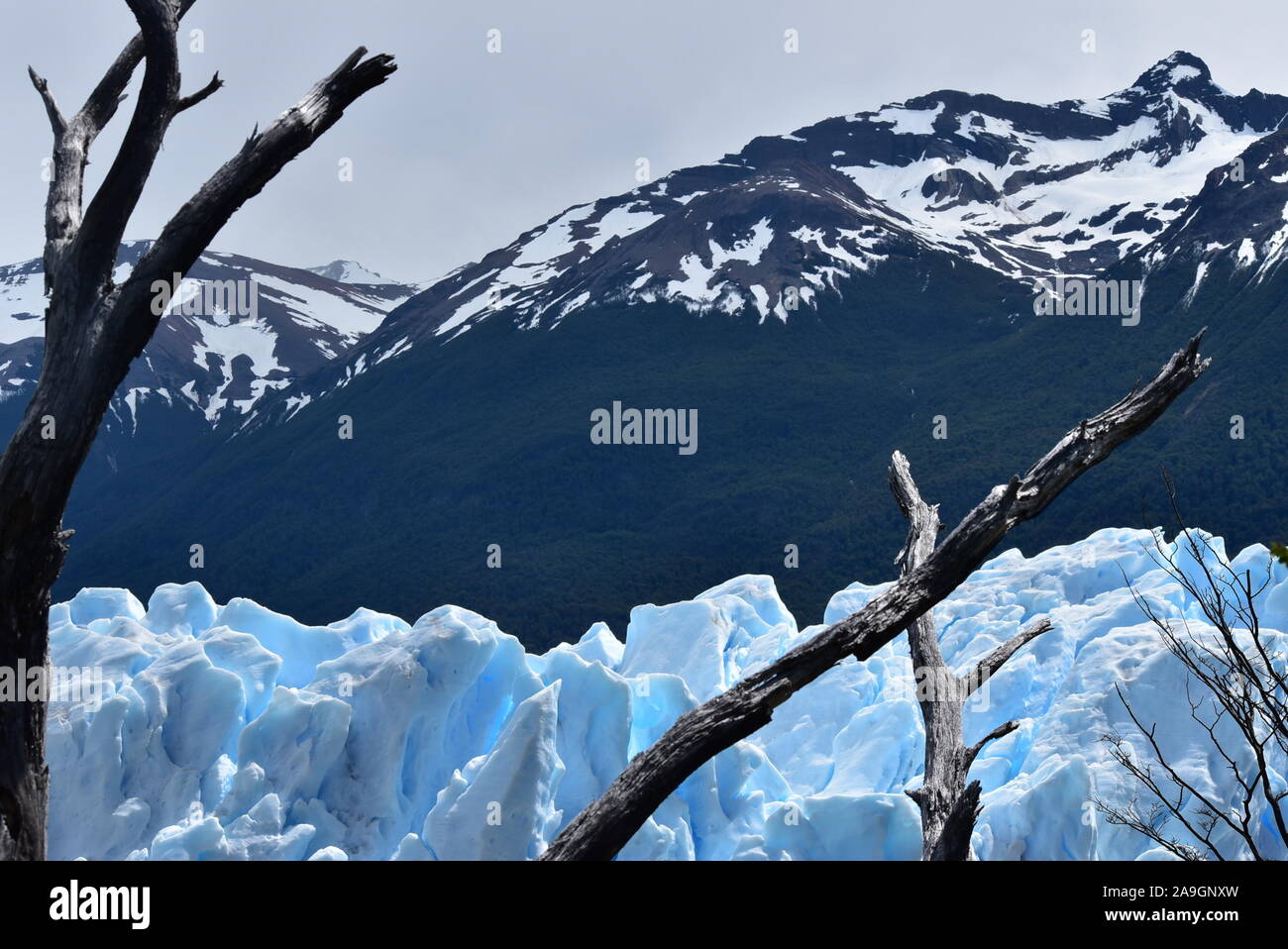 Patagonia winter, Glacier Perito Moreno Stock Photo