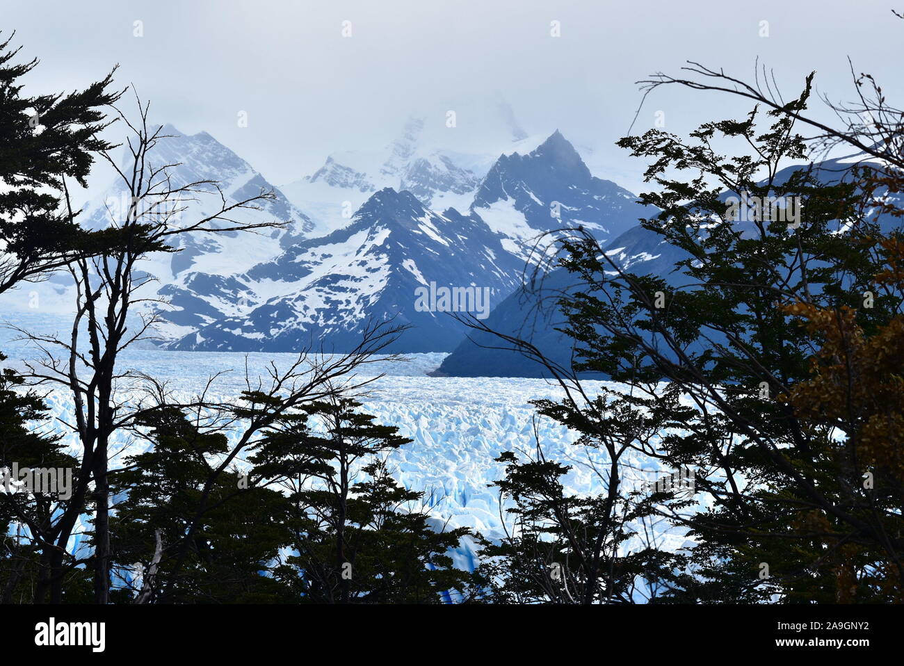 Patagonia winter, Glacier Perito Moreno Stock Photo