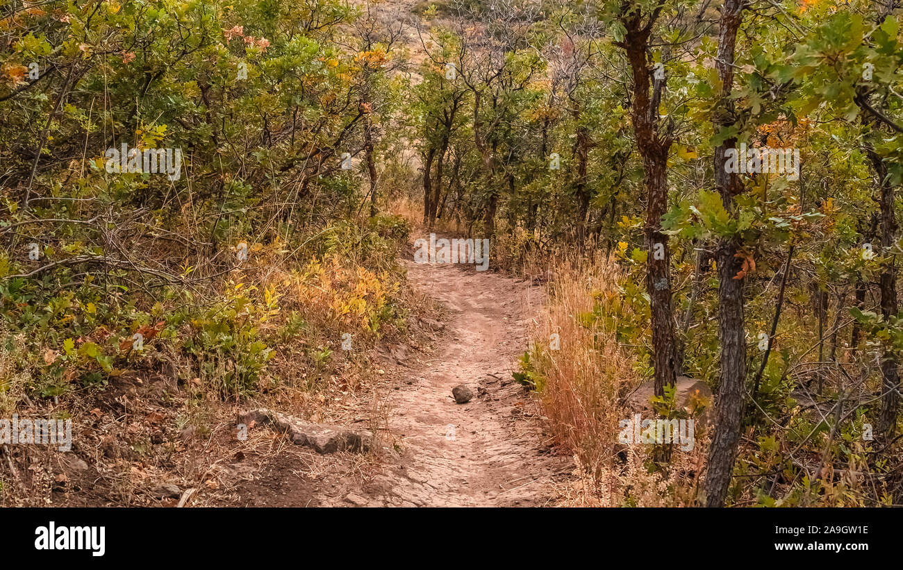 Long trail through beautiful hi-res stock photography and images - Alamy