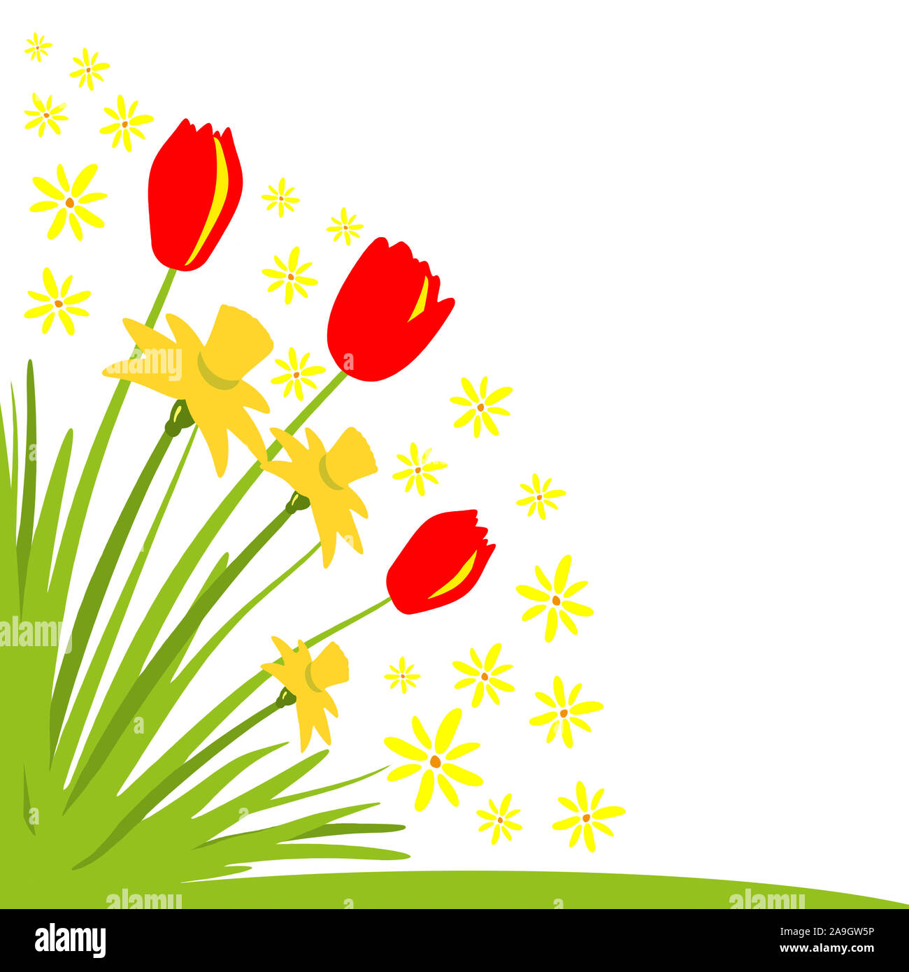Tulips and daffodils hi-res stock photography and images - Alamy