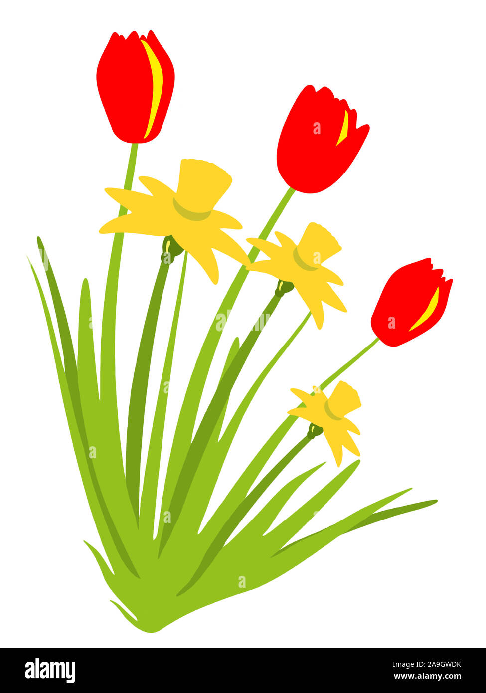 Springtime flowers against white background Stock Photo - Alamy