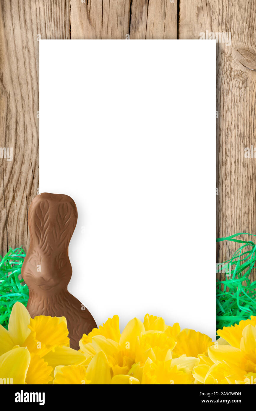 Easter chocolate bunny background Stock Photo - Alamy