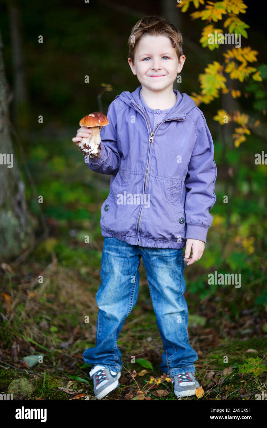 Finnland, kleiner Junge sammelt Pilze Stock Photo