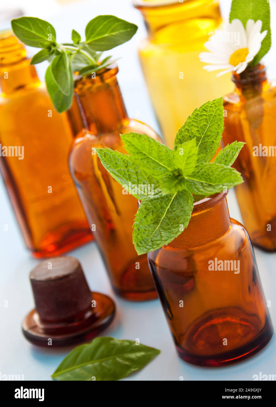 Natural healing herbs and oil Stock Photo Alamy