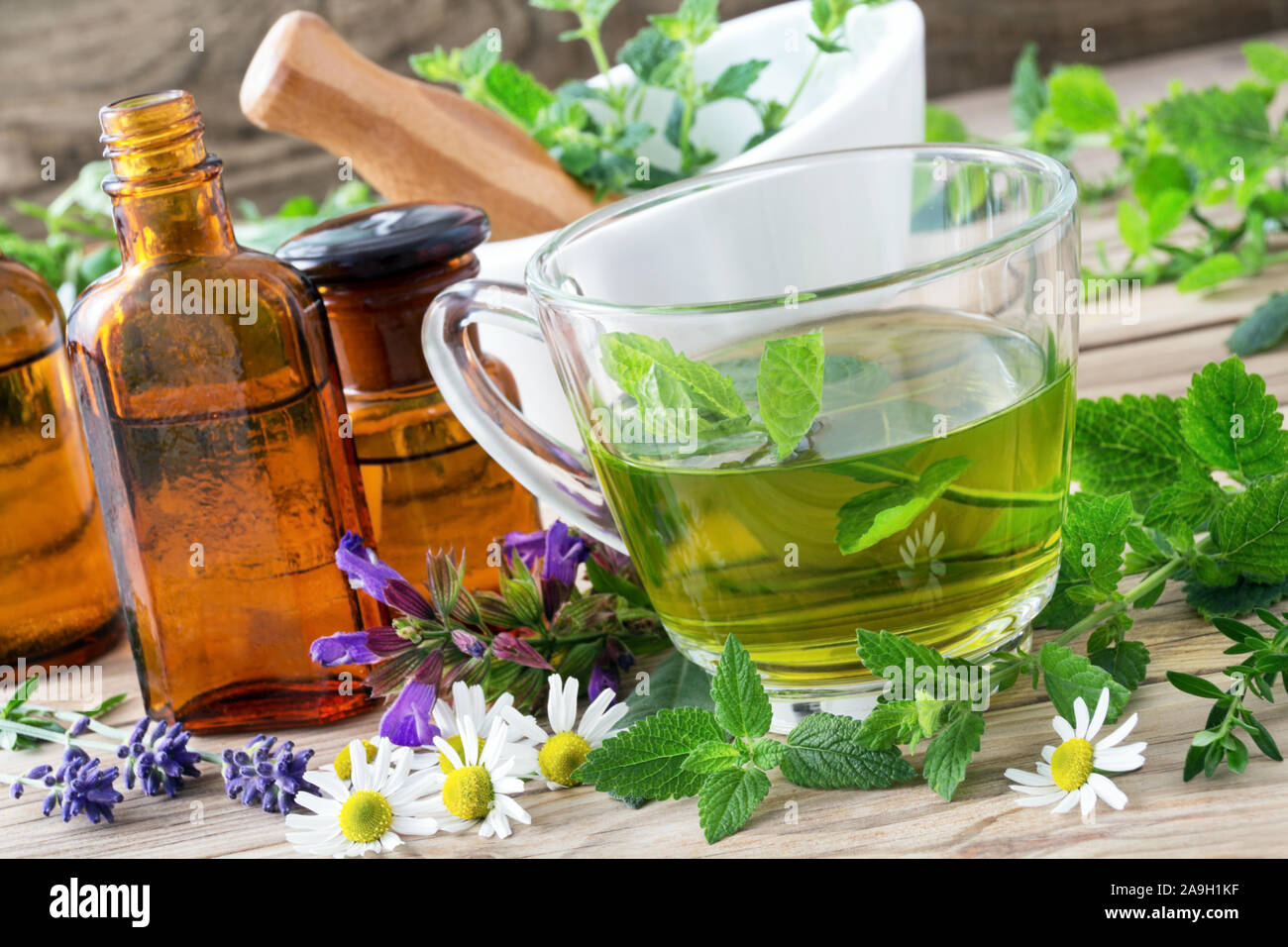 Herbal tea with fresh herbs Stock Photo