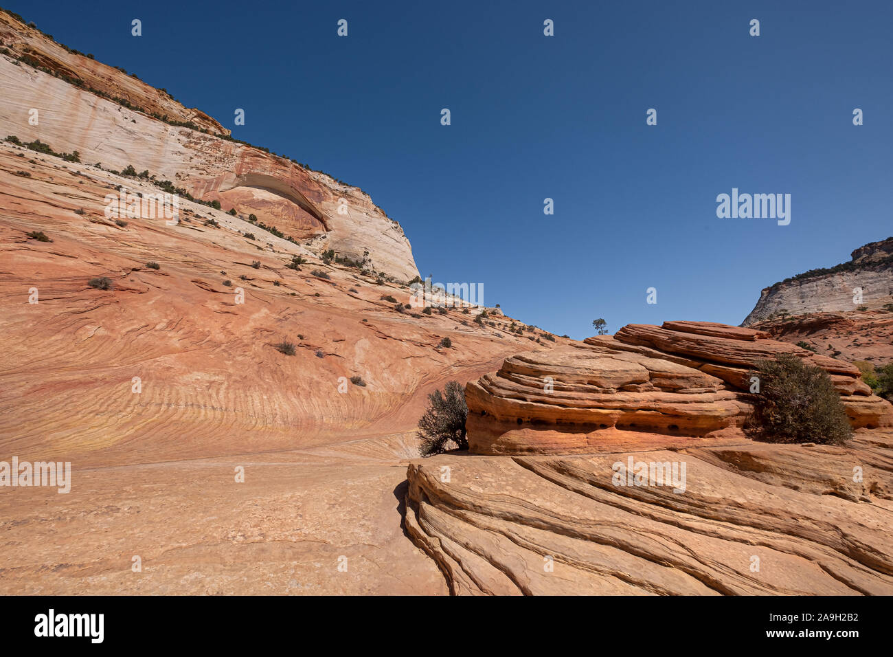 red rock formations in Zion National Park, USA Stock Photo