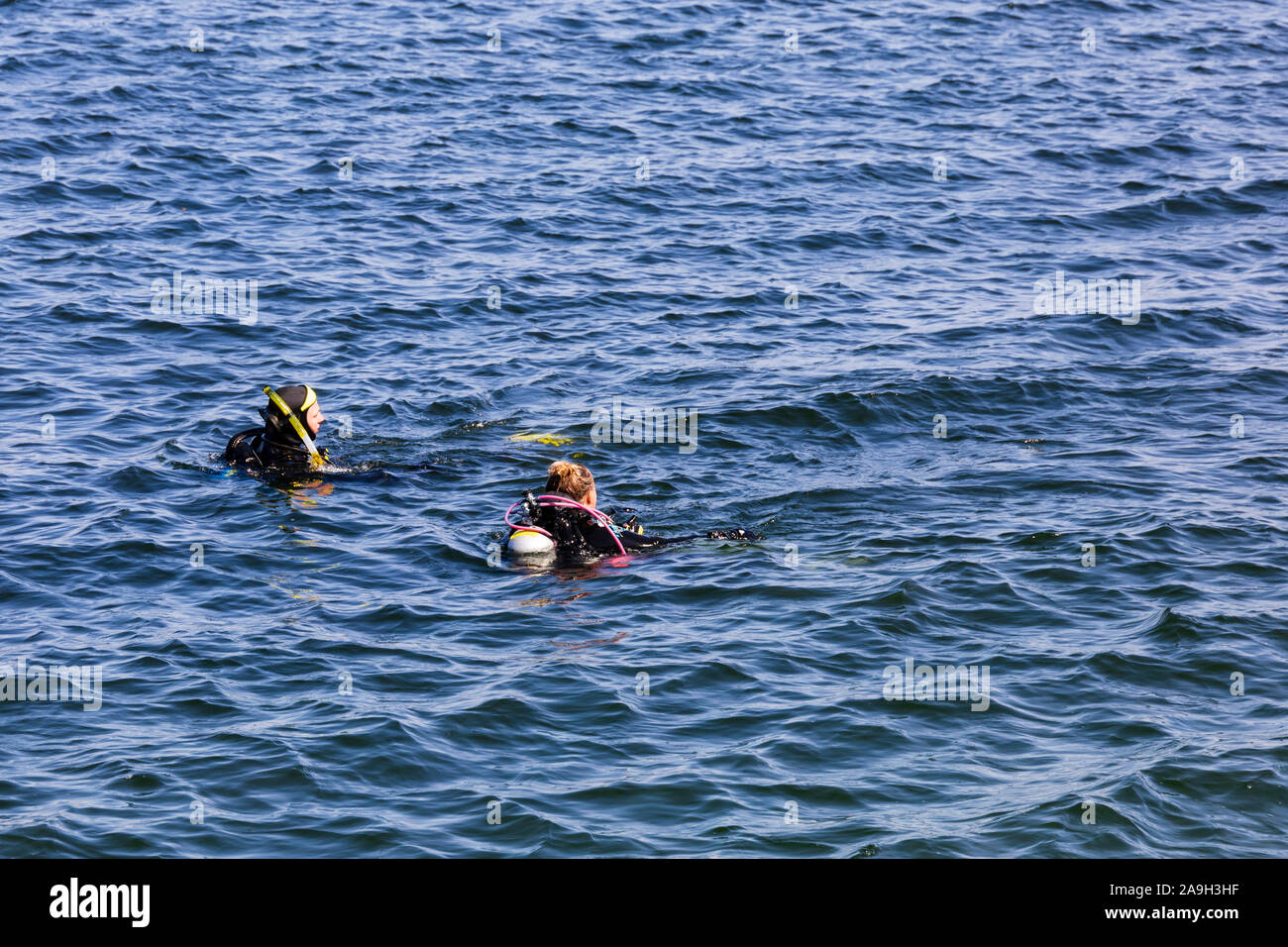 Beach scuba diving hi-res stock photography and images - Alamy