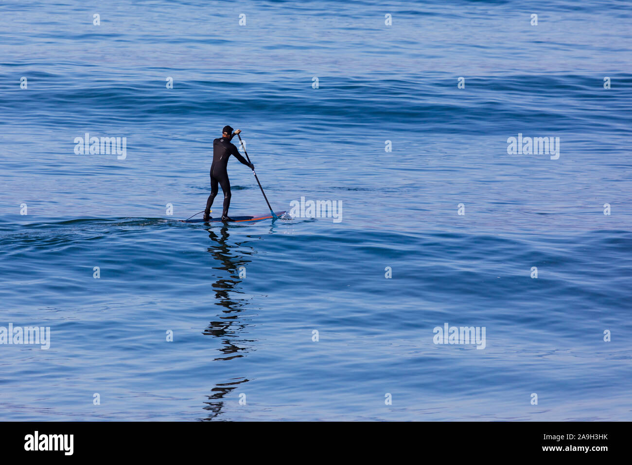 A man on a paddleboard in the sea off Cambria, California, United States of America. Stock Photo