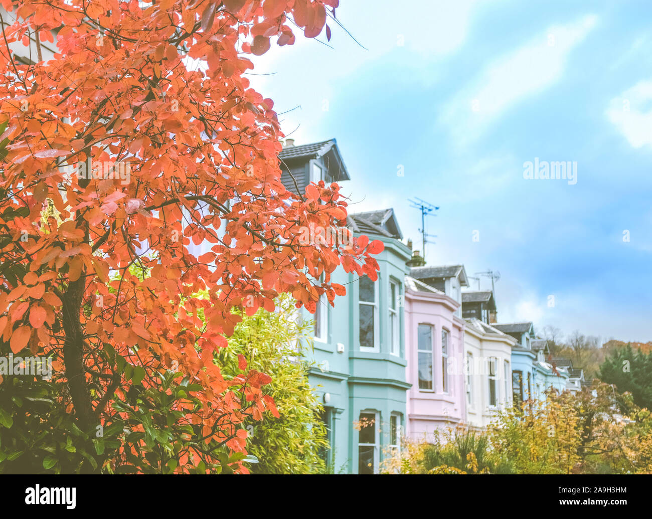 A Beautiful Colourful Terrace Street In A British City (Glasgow) In The Autumn (Fall) Stock Photo