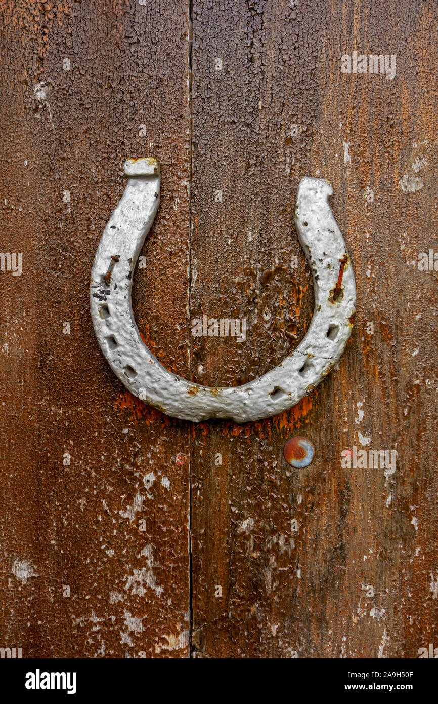 Horseshoe nailed on to a wooden door. Stock Photo