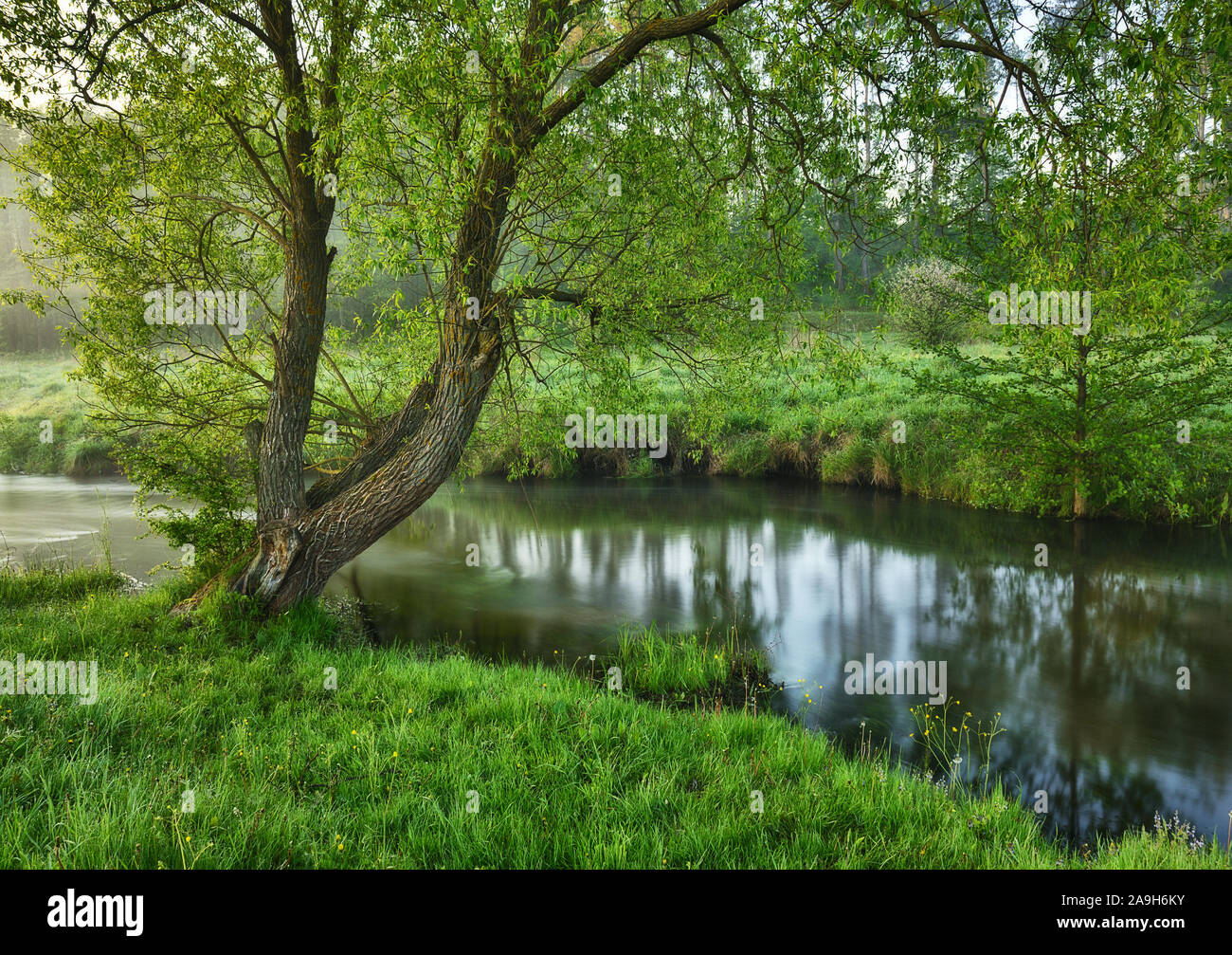 spring morning. foggy dawn. picturesque foggy river Stock Photo