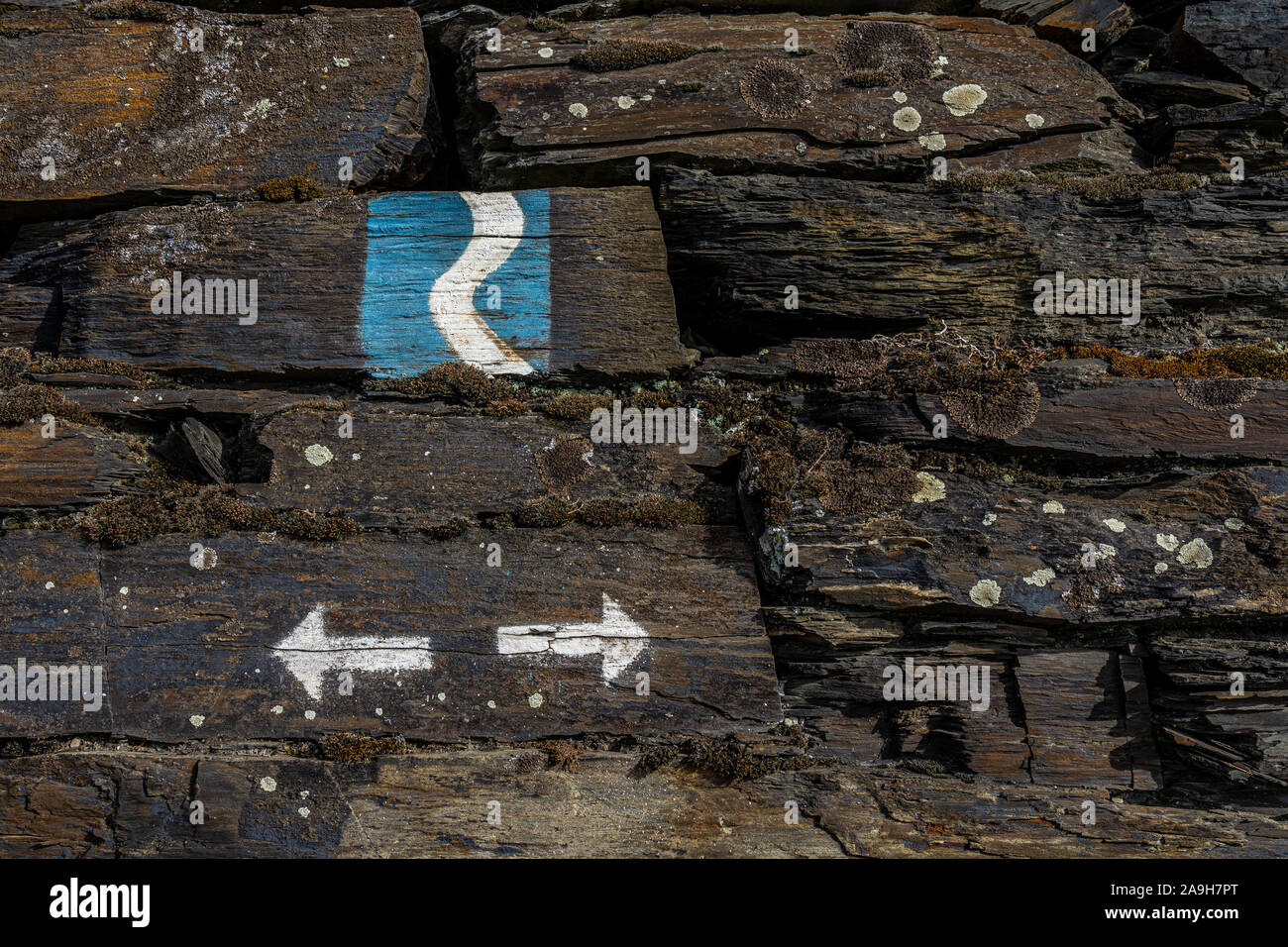 symbol of rheinsteig hiking trail in the middle rhine valley, germany Stock Photo
