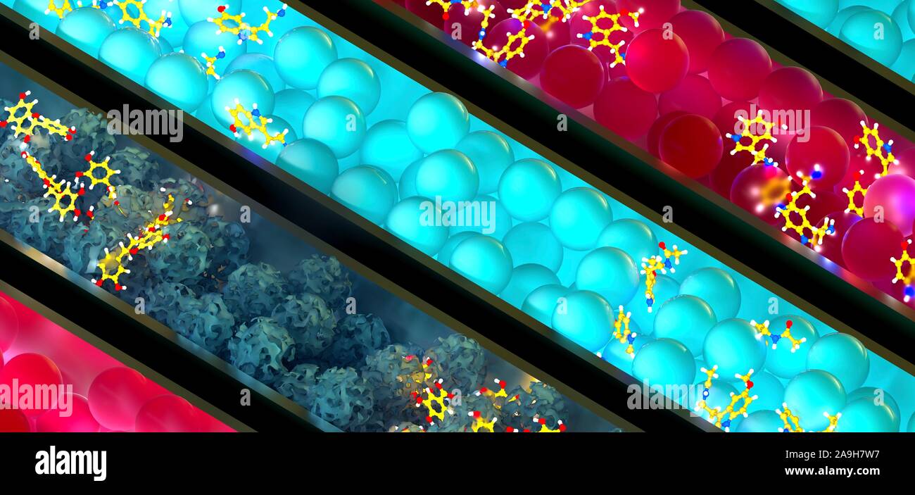 Types of liquid chromatography technique, illustration Stock Photo