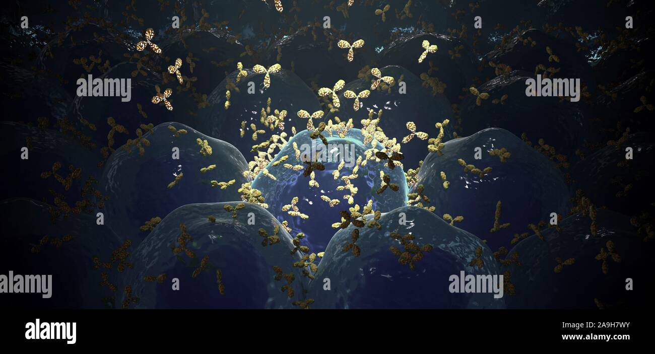 Monoclonal antibody production hi-res stock photography and images - Alamy