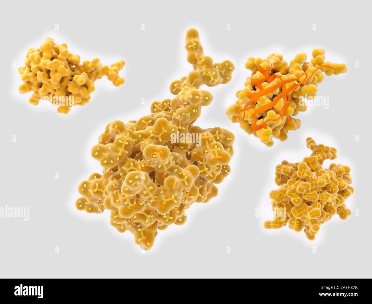 Ubiquitinin molecule, molecular model Stock Photo
