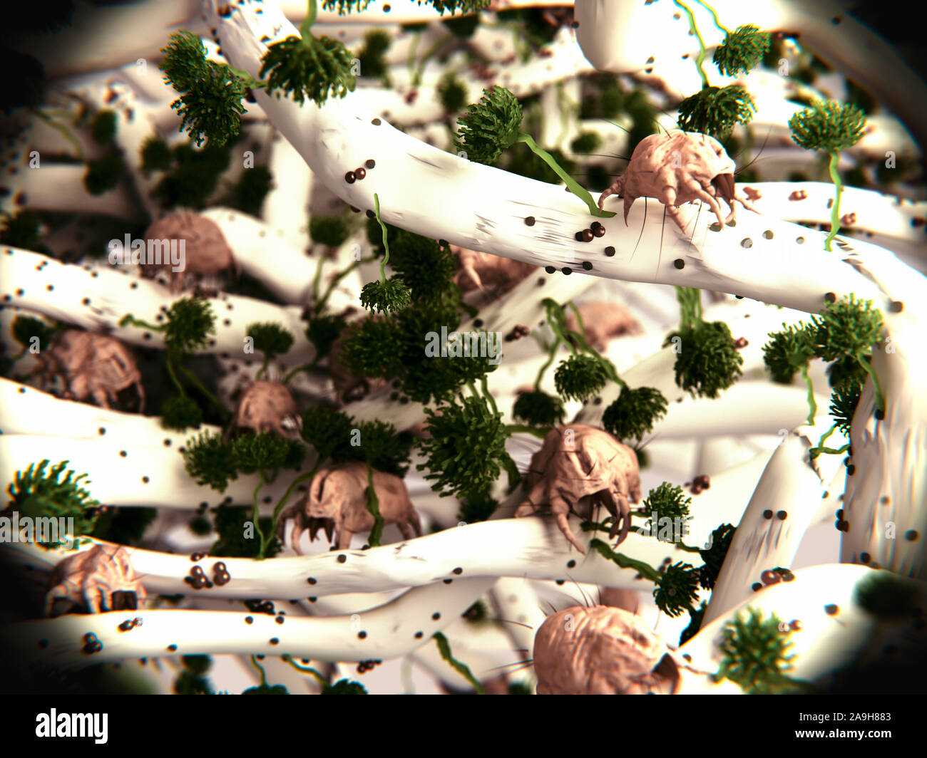 Dust mites in a mattress, illustration Stock Photo Alamy