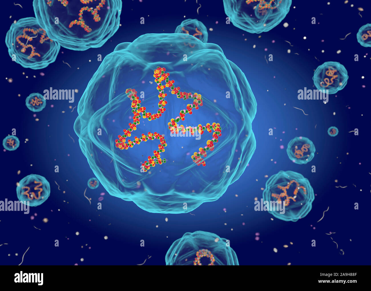 Coxsackie virus hires stock photography and images Alamy