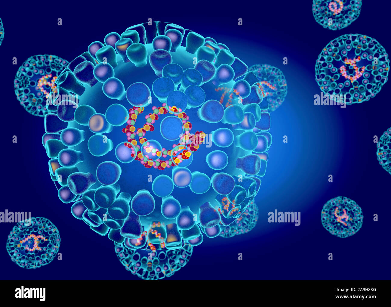 Bluetongue virus structure, illustration Stock Photo