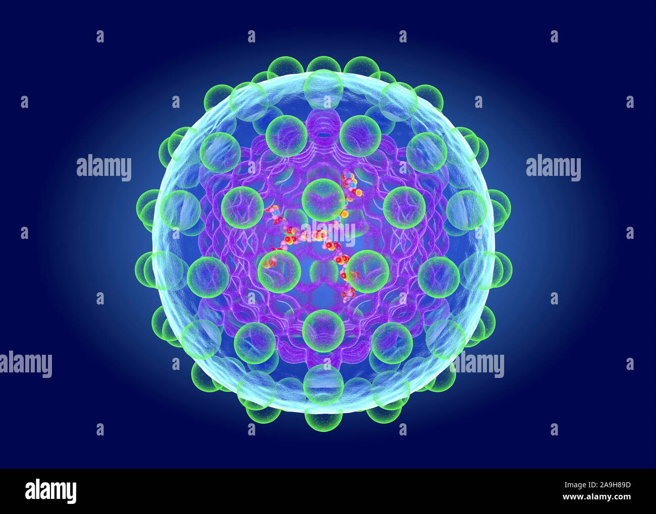 Hepatitis C Virus Structure Illustration Stock Photo Alamy