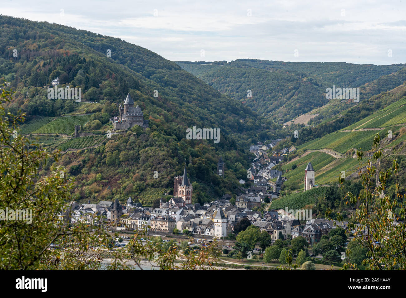 view on bacharach castle on rhine hiking trail rheinsteig with ...