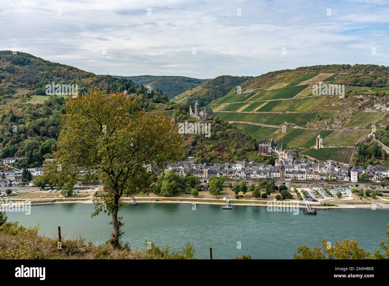 view on bacharach castle on rhine hiking trail rheinsteig with ...