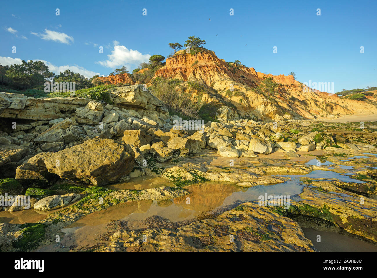 Europa, Portugal, Algarve, steinige Kueste an der Algarve bei Ebbe Stock Photo
