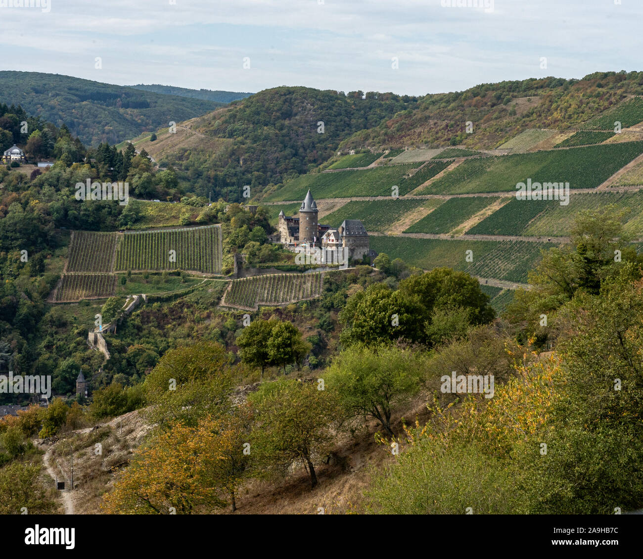view on bacharach castle on rhine hiking trail rheinsteig with ...