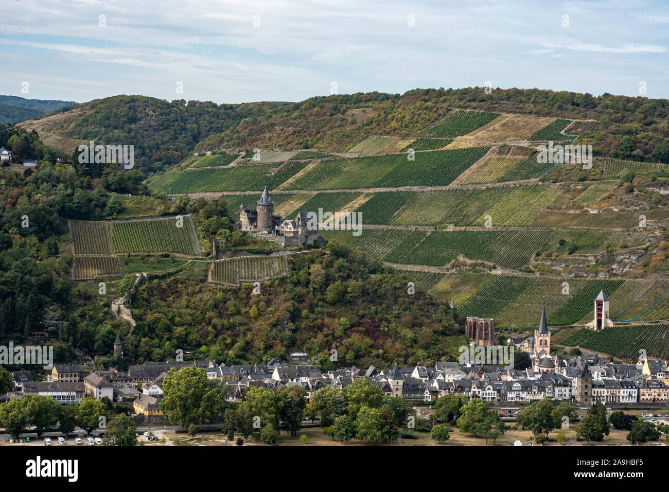view on bacharach castle on rhine hiking trail rheinsteig with ...