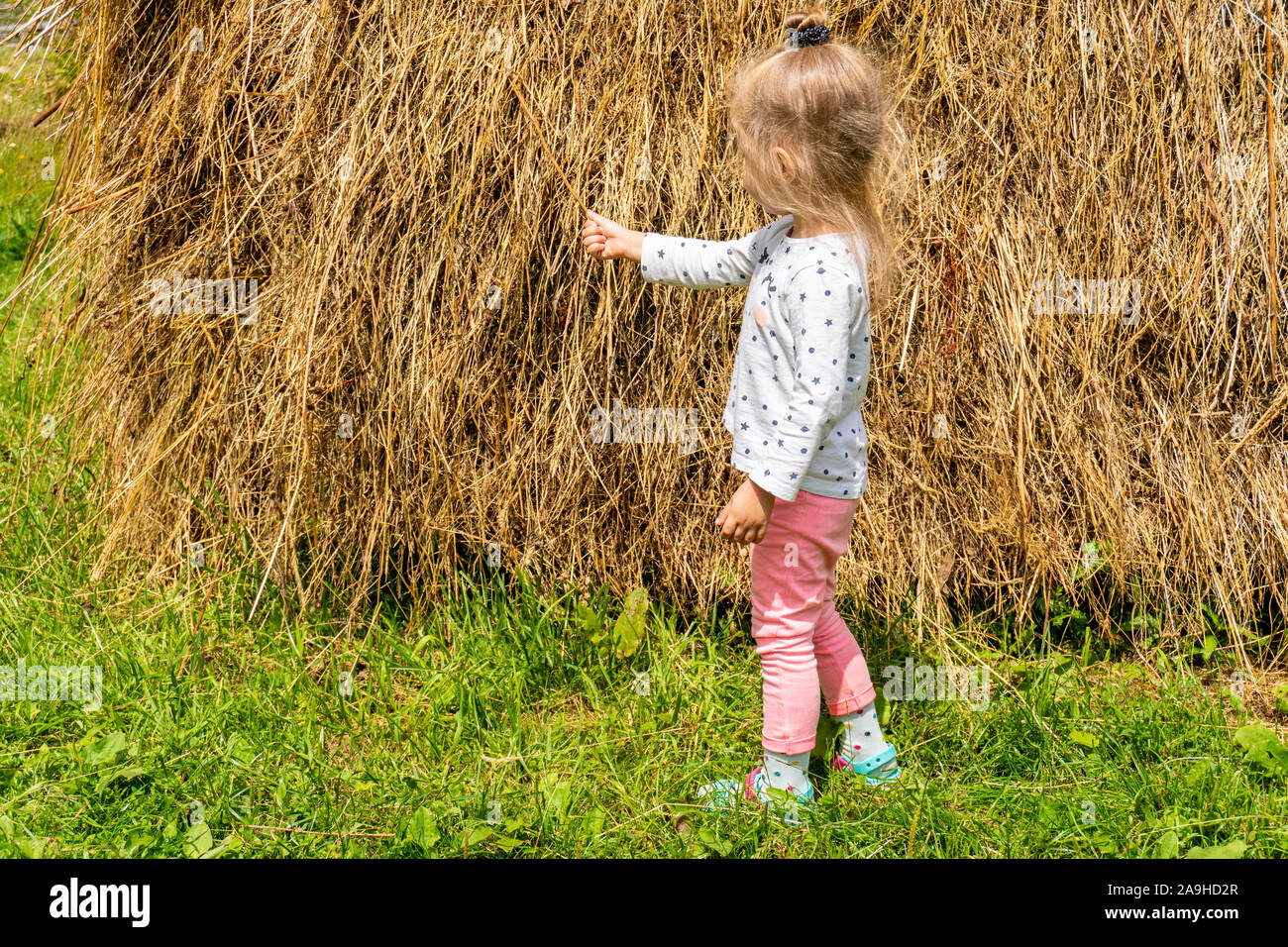 Little girl touching haystack at farm in summer Stock Photo - Alamy